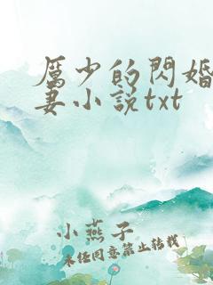 厉少的闪婚小萌妻小说txt