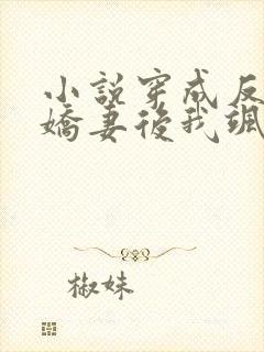 小说穿成反派小娇妻后我飒爆了