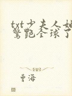 txt少夫人她惊艳全球了