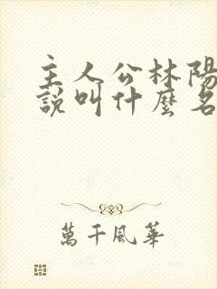 主人公林阳的小说叫什么名字