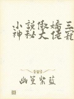 小说傲娇三宝,神秘大佬宠妻忙