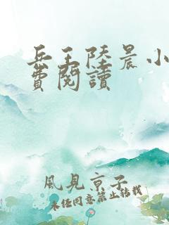 兵王陆晨小说免费阅读