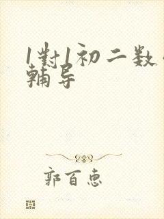 1对1初二数学辅导