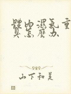 体内湿气重有口臭怎么办