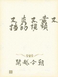 又爽又黄又无遮挡的视频