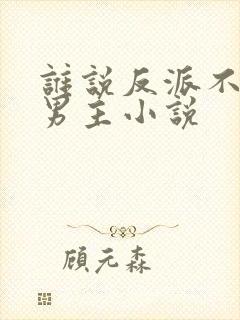 谁说反派不能当男主小说