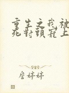 重生之我被渣男死对头宠上天短剧