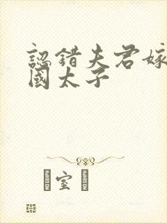 认错夫君嫁给敌国太子