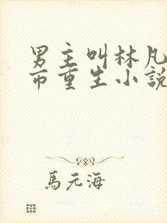 男主叫林凡的都市重生小说