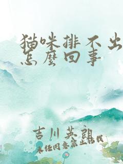 猫咪排不出尿是怎么回事