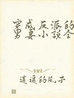 穿成反派的炮灰男妻小说全文