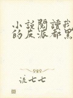 小说阅读我攻略的反派都黑化了