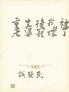 重生后我被影后老婆宠坏了