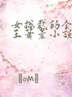 女总裁的全能兵王萧晨小说免费版