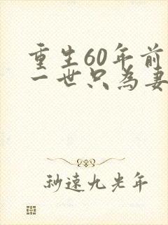重生60年前这一世只为妻儿全集在线观看