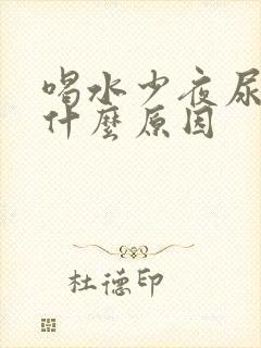 喝水少夜尿多是什么原因