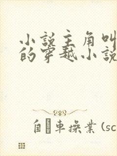 小说主角叫苏辰的穿越小说