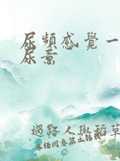 尿频感觉一直有尿意