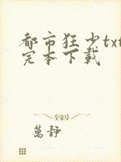 都市狂少txt完本下载