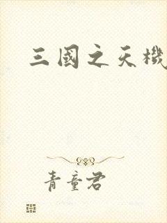 三国之天机军师