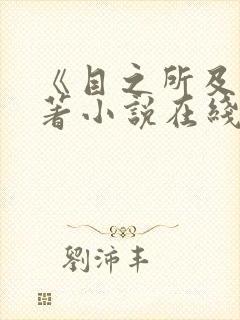 《目之所及》原著小说在线阅读