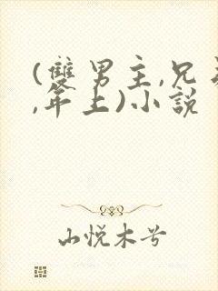 (双男主,兄弟,年上)小说