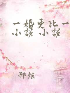 一婚更比一婚高小说 小说