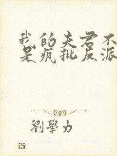 我的夫君不可能是疯批反派小说