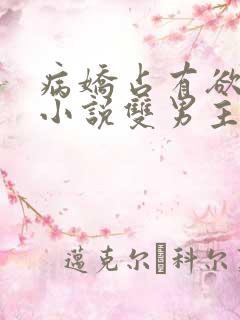 病娇占有欲强的小说双男主