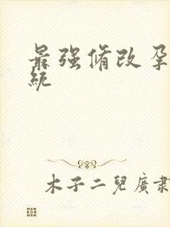 最强修改孕妇系统