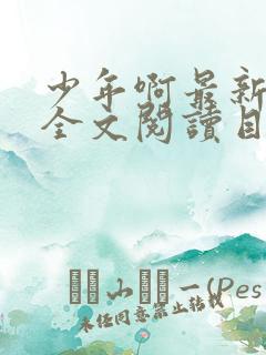 少年啊最新章节全文阅读目录