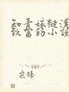 知青嫁糙汉养娃致富的小说