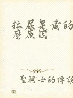 拉尿是黄的是什么原因