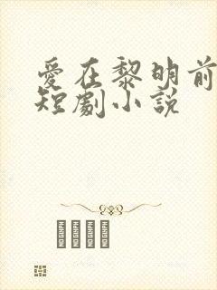 爱在黎明前升起短剧小说