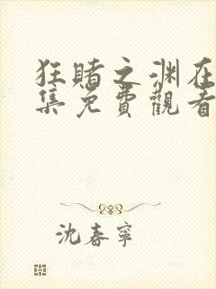 狂赌之渊在线全集免费观看