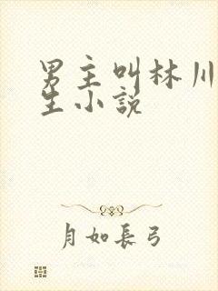 男主叫林川的重生小说