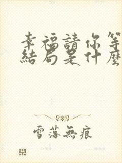 幸福请你等等我结局是什么