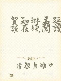 贺知琳孟延赫小说在线阅读