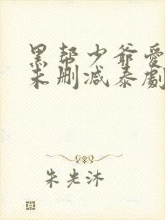 黑帮少爷爱上我未删减泰剧