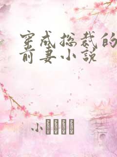 穿成总裁的美艳前妻小说