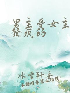 男主爱女主爱到发疯的