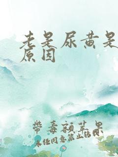 老是尿黄是什么原因