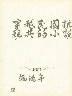 穿越民国抗日不亲共的小说