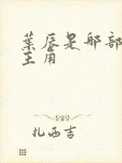 叶辰是哪部小说主角