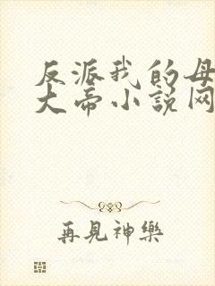 反派我的母亲是大帝小说网