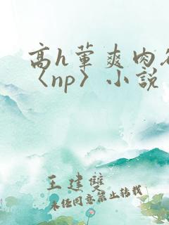 高h荤爽肉欲文〈np〉小说