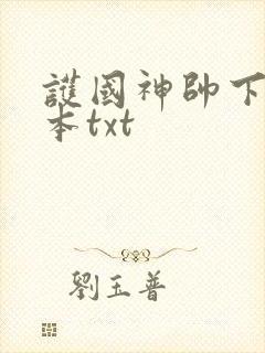 护国神帅下载全本txt