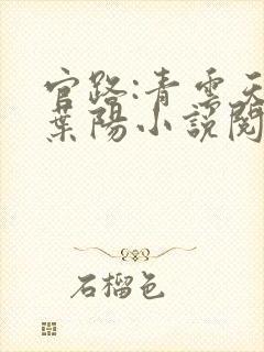 官路:青云天骄叶阳小说阅读