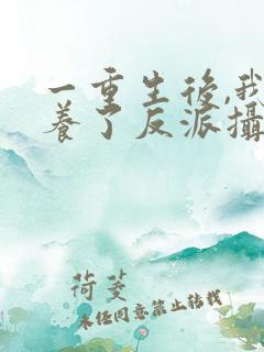 一重生后,我娇养了反派摄政王