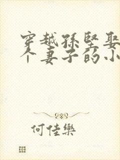 穿越孙坚娶了三个妻子的小说